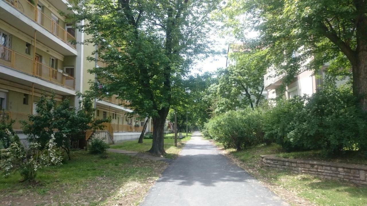 Kőrösi Apartman Pecs Bagian luar foto